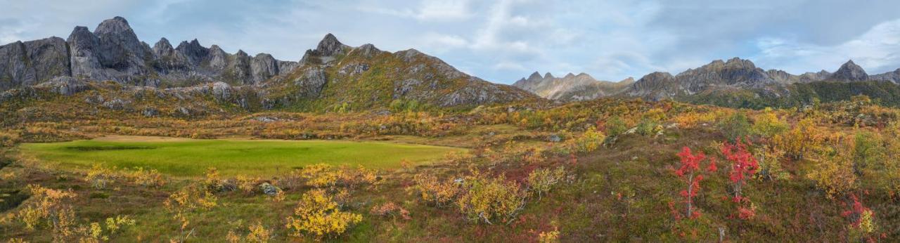 Wildlife Panorama Lofoten Bostad 외부 사진