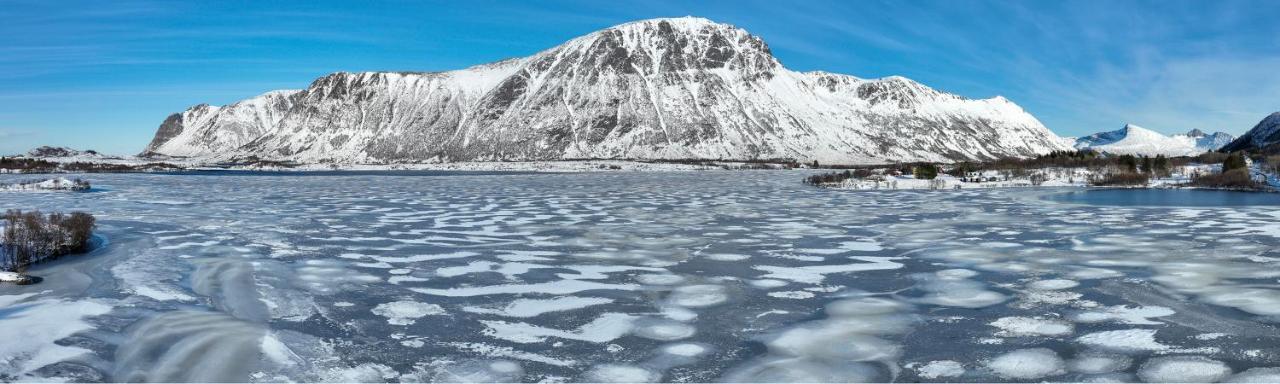 Wildlife Panorama Lofoten Bostad 외부 사진