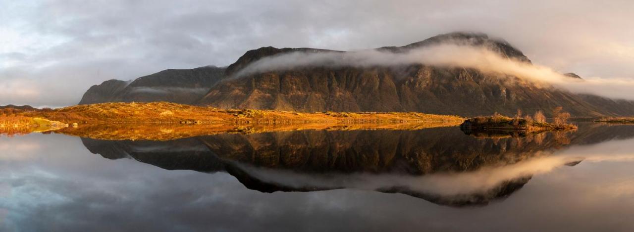 Wildlife Panorama Lofoten Bostad 외부 사진