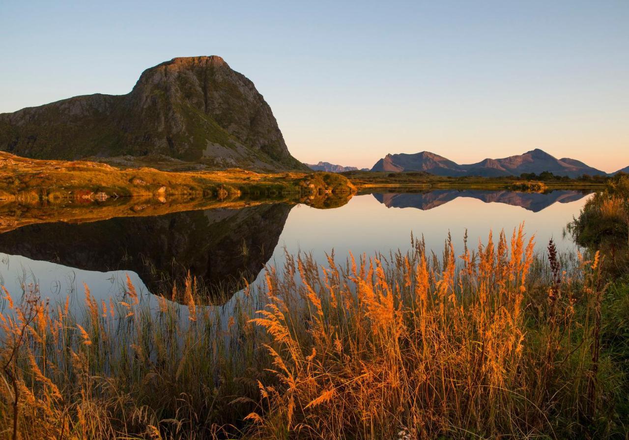 Wildlife Panorama Lofoten Bostad 외부 사진